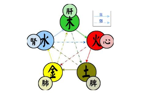 火 金 五行|五行（对万事万物的取象比类）